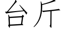 台斤 (仿宋矢量字库)