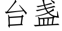 台盞 (仿宋矢量字庫)