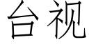 台视 (仿宋矢量字库)