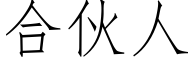 合伙人 (仿宋矢量字库)