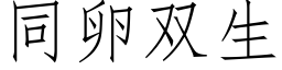 同卵雙生 (仿宋矢量字庫)