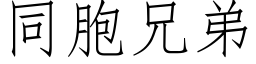 同胞兄弟 (仿宋矢量字库)