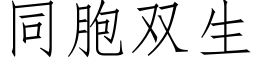 同胞雙生 (仿宋矢量字庫)