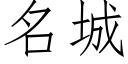 名城 (仿宋矢量字庫)