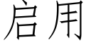 启用 (仿宋矢量字库)