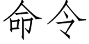 命令 (仿宋矢量字库)