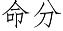 命分 (仿宋矢量字庫)