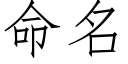 命名 (仿宋矢量字库)