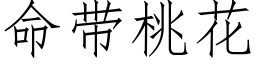 命帶桃花 (仿宋矢量字庫)