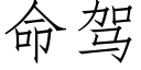 命驾 (仿宋矢量字库)