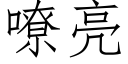 嘹亮 (仿宋矢量字库)