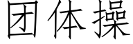 团体操 (仿宋矢量字库)