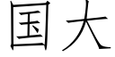 国大 (仿宋矢量字库)