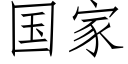 国家 (仿宋矢量字库)