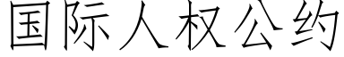 國際人權公約 (仿宋矢量字庫)