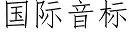 国际音标 (仿宋矢量字库)