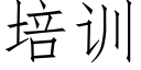 培训 (仿宋矢量字库)