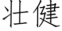 壯健 (仿宋矢量字庫)