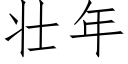 壯年 (仿宋矢量字庫)