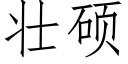 壮硕 (仿宋矢量字库)