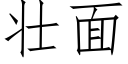 壯面 (仿宋矢量字庫)