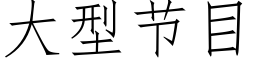 大型節目 (仿宋矢量字庫)