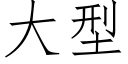 大型 (仿宋矢量字庫)