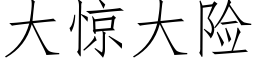 大驚大險 (仿宋矢量字庫)