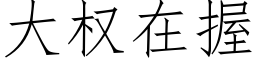 大權在握 (仿宋矢量字庫)