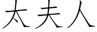 太夫人 (仿宋矢量字庫)