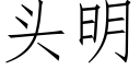 头明 (仿宋矢量字库)