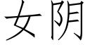 女阴 (仿宋矢量字库)