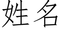 姓名 (仿宋矢量字库)