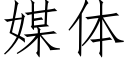 媒體 (仿宋矢量字庫)