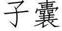 子囊 (仿宋矢量字库)