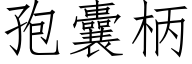 孢囊柄 (仿宋矢量字庫)