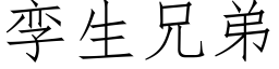 孪生兄弟 (仿宋矢量字库)