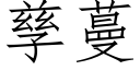 孳蔓 (仿宋矢量字库)