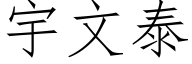 宇文泰 (仿宋矢量字库)