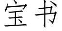 寶書 (仿宋矢量字庫)