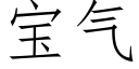 寶氣 (仿宋矢量字庫)