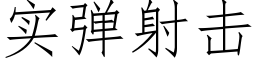 實彈射擊 (仿宋矢量字庫)