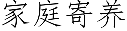 家庭寄養 (仿宋矢量字庫)