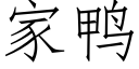 家鸭 (仿宋矢量字库)