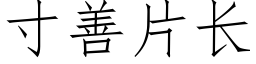 寸善片长 (仿宋矢量字库)