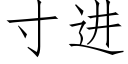 寸進 (仿宋矢量字庫)