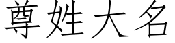 尊姓大名 (仿宋矢量字库)