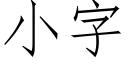 小字 (仿宋矢量字库)