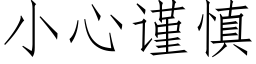 小心谨慎 (仿宋矢量字库)