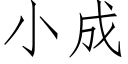 小成 (仿宋矢量字庫)